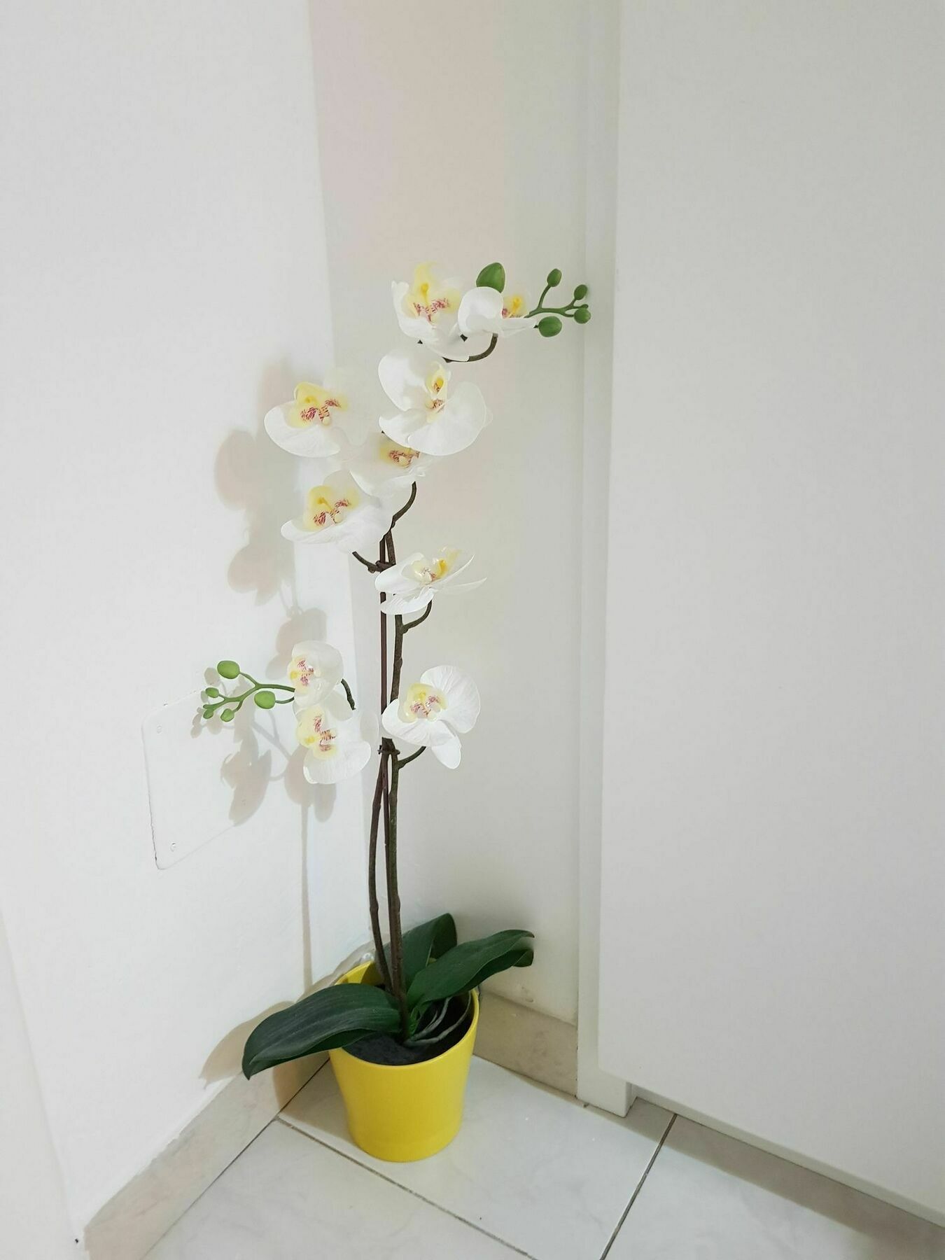Happy Apartment Лечче Экстерьер фото